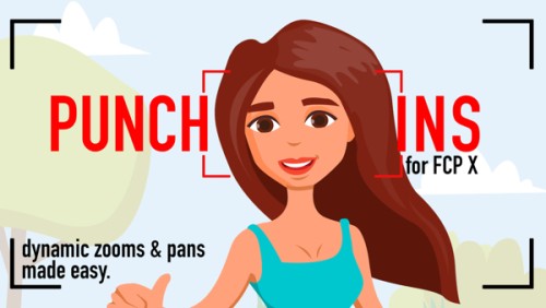 RT Punch-Ins, Ripple Training: Video editing tutorials for the best editing software for PC and Mac.